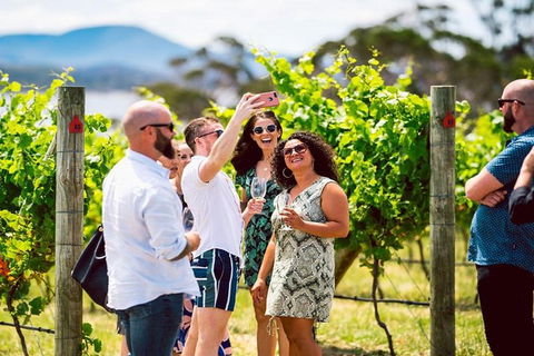 Hobart: Highlights Of Tasmanian Wine Full Day Tour - Darwin Holiday 3
