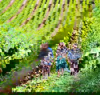 Hobart Highlights of Tasmanian Wine Full Day Tour - Darwin Holiday