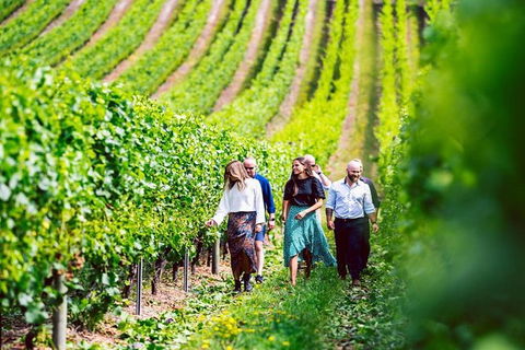 Hobart: Highlights Of Tasmanian Wine Full Day Tour - Darwin Holiday 0