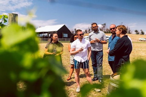 Hobart: Highlights Of Tasmanian Wine Full Day Tour - Darwin Holiday 2