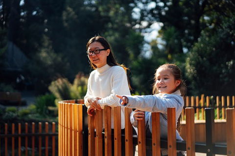 Private Royal Tasmanian Botanical Gardens Walking Tour - Darwin Holiday 4