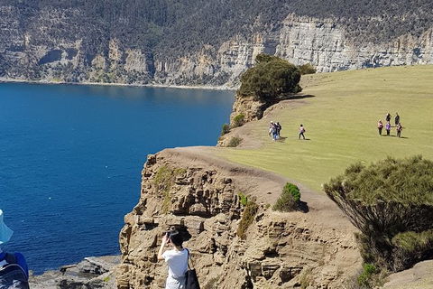 Hobart Minibus Full-Day Private Tour - Darwin Holiday 1