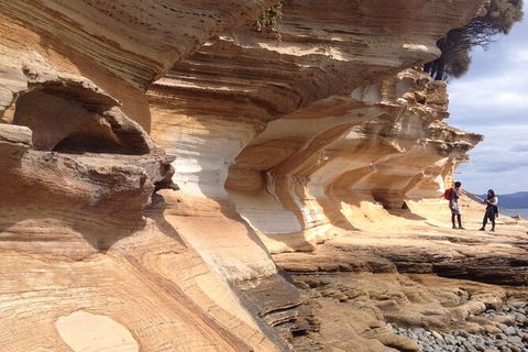 Hobart Minibus Full-Day Private Tour - Darwin Holiday 2