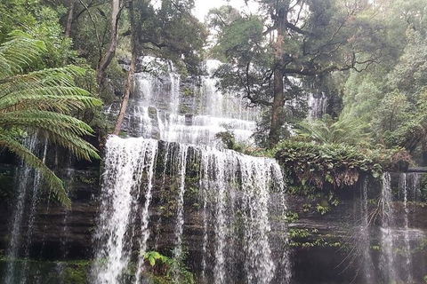 6-Day Small-Group Hearty Tasmania Tour From Hobart - Darwin Holiday 5