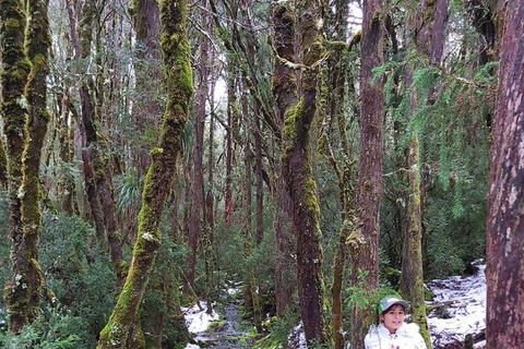 6-Day Small-Group Hearty Tasmania Tour From Hobart - Darwin Holiday 2