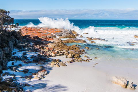 2-Day Tas East Coast Escape Tour Including Bay Of Fires, Wineglass Bay & Devils - Darwin Holiday 6