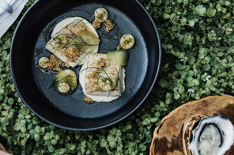 Moorilla Estate\'s Posh-As Day At Mona - Darwin Holiday 4