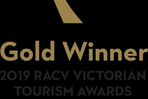 Dolphin And Seal Swim Reef Snorkel Boat Tour Mornington Peninsula - Darwin Holiday 8