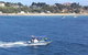 Dolphin And Seal Swim Reef Snorkel Boat Tour Mornington Peninsula - thumb 14