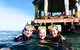 Dolphin And Seal Swim Reef Snorkel Boat Tour Mornington Peninsula - thumb 4