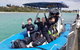 Dolphin And Seal Swim Reef Snorkel Boat Tour Mornington Peninsula - thumb 16