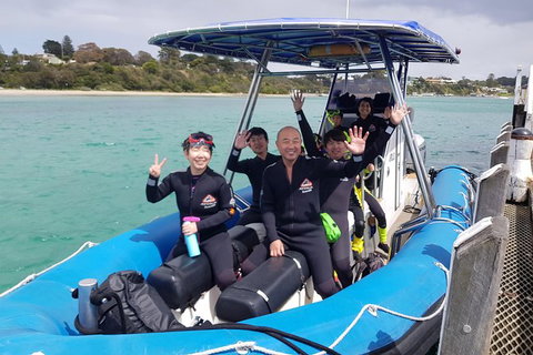 Dolphin And Seal Swim Reef Snorkel Boat Tour Mornington Peninsula - Darwin Holiday 16