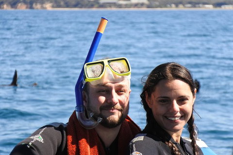 Dolphin And Seal Swim Reef Snorkel Boat Tour Mornington Peninsula - Darwin Holiday 18