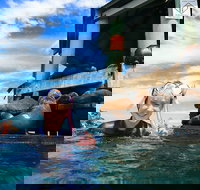 2 hour Snorkel with the Seals