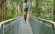 Otway Fly Treetop Adventures Treetop Walk Admission Ticket - thumb 6