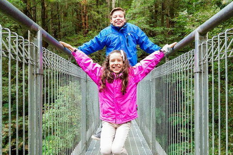 Otway Fly Treetop Adventures Treetop Walk Admission Ticket - Darwin Holiday 2