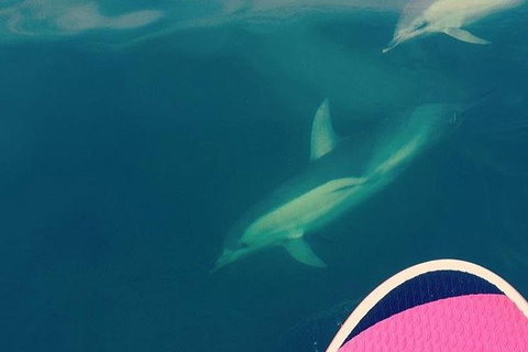 Stand Up Paddle Boarding - Darwin Holiday 3