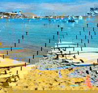 Stand up paddle boarding