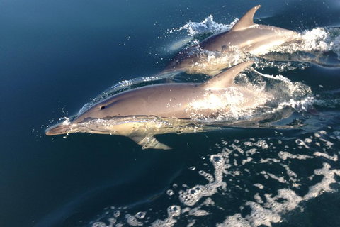 Stand Up Paddle Boarding - Darwin Holiday 6