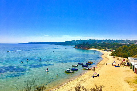 Stand Up Paddle Boarding - Darwin Holiday 5