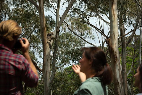 Indigenous Culture And Nature Tour - Darwin Holiday 2