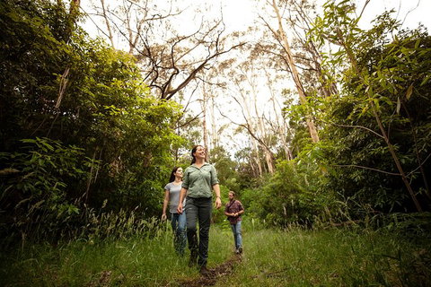 Indigenous Culture And Nature Tour - Darwin Holiday 6
