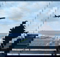 Private Transfer Avalon International Airport AVV to Melbourne