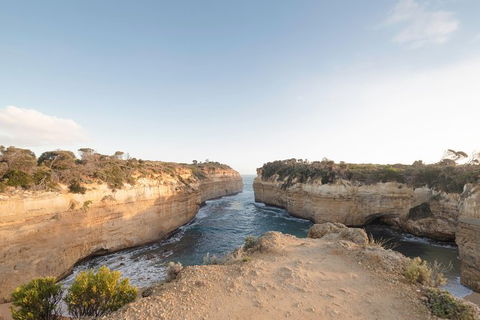 PRIVATE Great Ocean Road Tour And 12 Apostles With Wildlife Spotting - Darwin Holiday 1