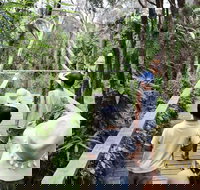 Boneo Maze General Entry Ticket