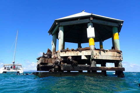 Sailing Cruise With Seals - Darwin Holiday 1
