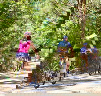 Cycle Tour  Self Guided  Mornington Peninsula Victoria  Wine Region