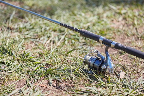 Skip The Line: Fishing Experience Ticket - Buxton Trout & Salmon - Darwin Holiday 14