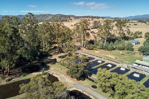 Skip The Line: Fishing Experience Ticket - Buxton Trout & Salmon - Darwin Holiday 0