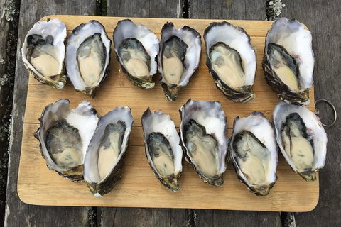 Skip The Line: Fishing Experience Ticket - Buxton Trout & Salmon - Darwin Holiday 2