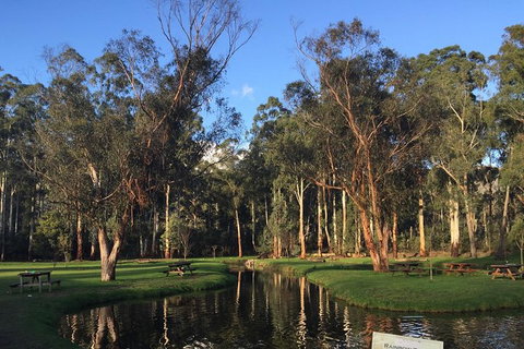 Skip The Line: Fishing Experience Ticket - Buxton Trout & Salmon - Darwin Holiday 17