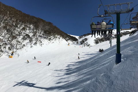 Alpine Ultimate Snow Trip - Darwin Holiday 10