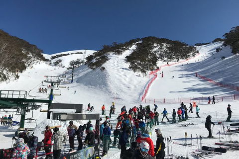 Alpine Ultimate Snow Trip - Darwin Holiday 4