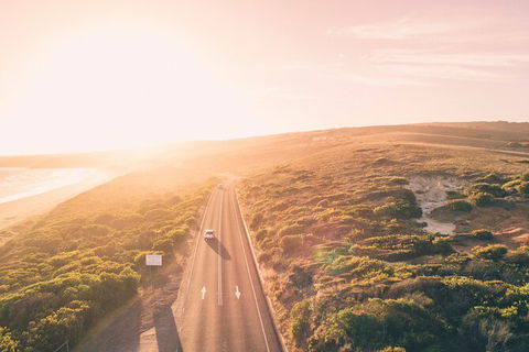 LGBT+ Friendly 2 Day Private Great Ocean Road Tour - Darwin Holiday 1
