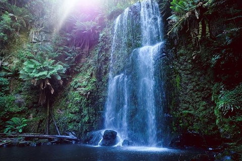 The Breathtaking 12 Apostles & Gibson Steps - Darwin Holiday 4