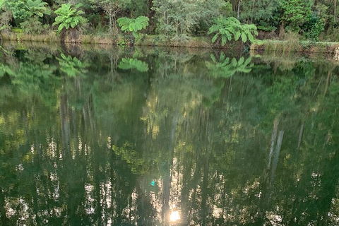 Hiking Tour To Aqueduct And Warburton Valley Lookout - Darwin Holiday 2