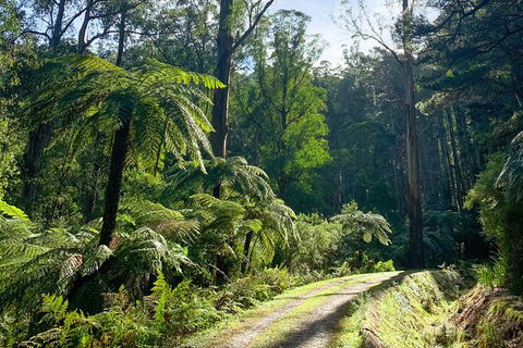 Hiking Tour To Aqueduct And Warburton Valley Lookout - Darwin Holiday 1
