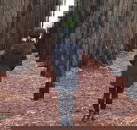 Half-Day Biking Activity from Aqueduct to California Redwoods