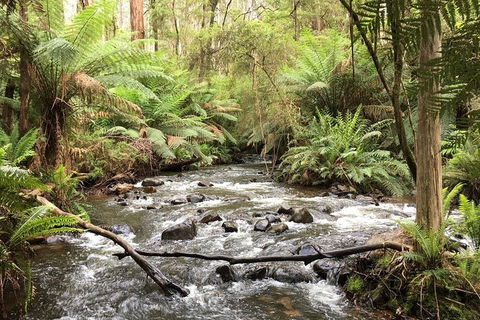 Half-Day Biking Activity From Aqueduct To California Redwoods - Darwin Holiday 3