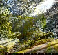 Private Aqueduct to California Redwoods Hiking Tour