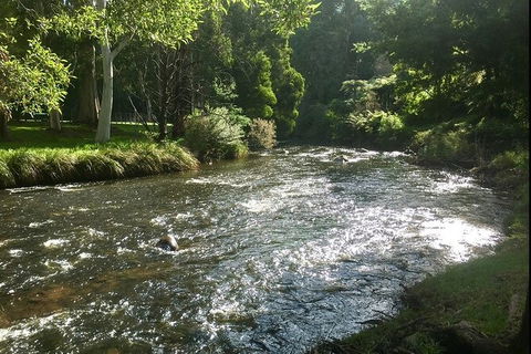 Watertube Experience In Yarra River - Darwin Holiday 3