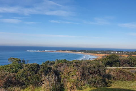 Private Great Ocean Road And Chocolaterie Tour With Tasting - Darwin Holiday 5