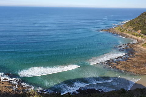 Private Great Ocean Road And Chocolaterie Tour With Tasting - Darwin Holiday 7
