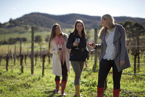 Yarra Valley Premium Tour Inc Lunch And Cheese And Wine Pairing At De Bortoli - Darwin Holiday 2