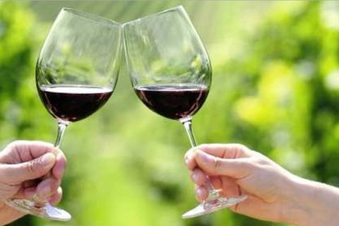 Yarra Valley Premium Tour Inc Lunch And Cheese And Wine Pairing At De Bortoli - Darwin Holiday 4