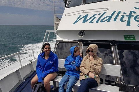 Phillip Island Penguin And Wildlife Tour - Darwin Holiday 15